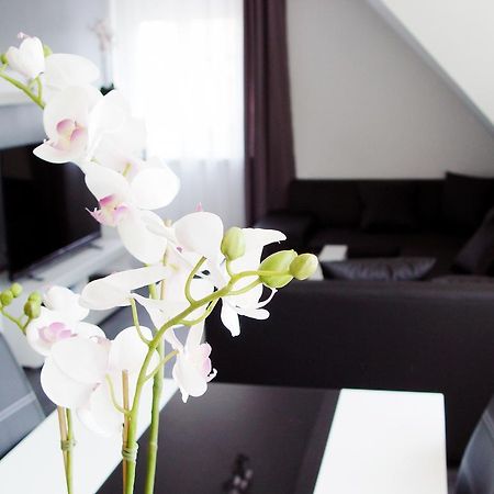 La Domus Premium Osnabrueck Lotte Appartement Buitenkant foto