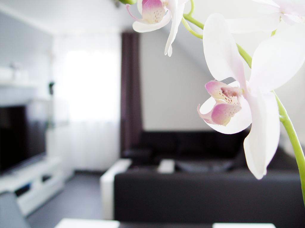 La Domus Premium Osnabrueck Lotte Appartement Buitenkant foto