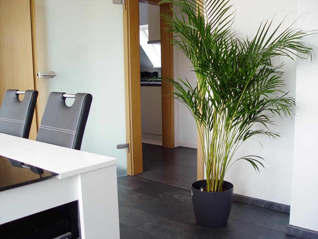 La Domus Premium Osnabrueck Lotte Appartement Buitenkant foto